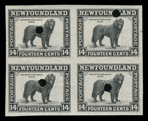 Newfoundland 253i-266ii