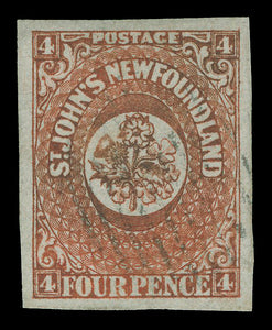 Newfoundland 4
