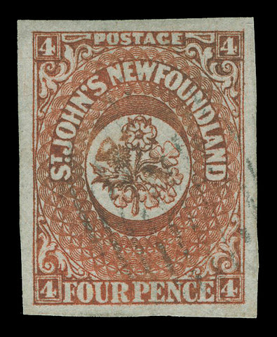 Newfoundland 4