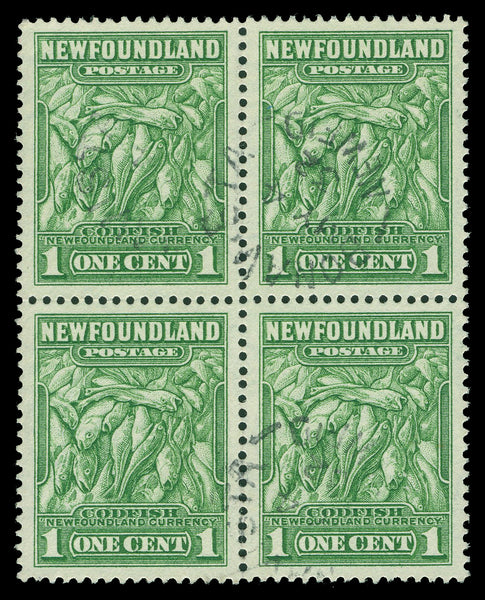 Terre-Neuve 183 - 210