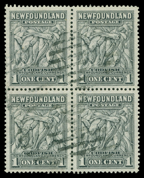Terre-Neuve 183 - 210