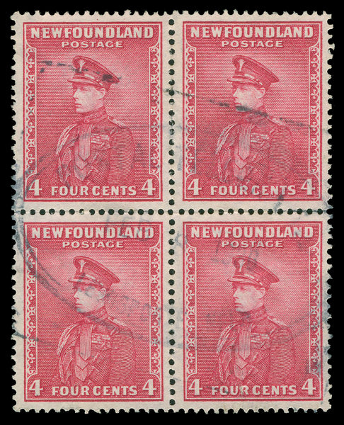 Terre-Neuve 183 - 210