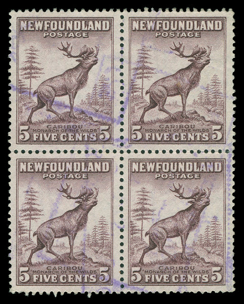 Terre-Neuve 183 - 210
