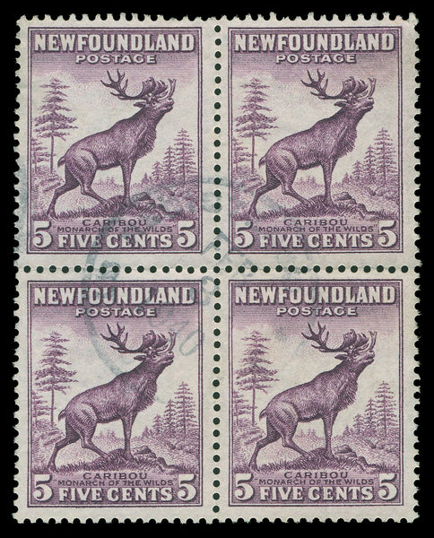 Terre-Neuve 183 - 210