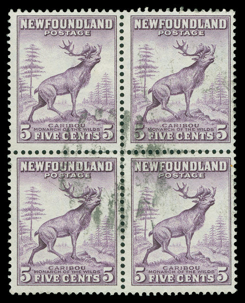 Terre-Neuve 183 - 210