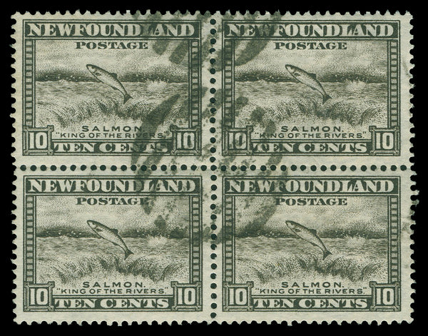 Terre-Neuve 183 - 210