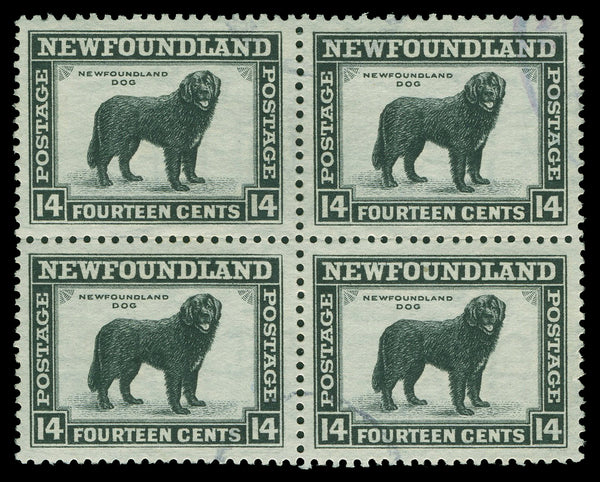 Terre-Neuve 183 - 210