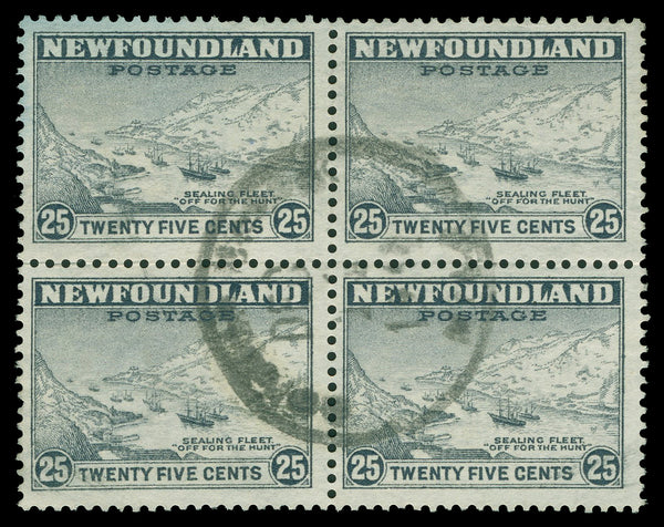 Terre-Neuve 183 - 210