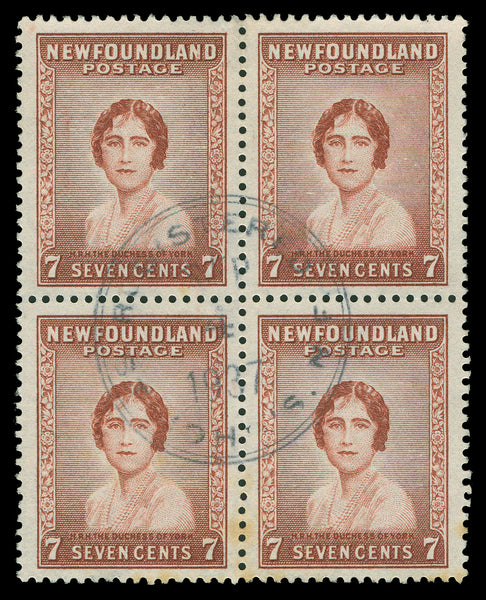 Terre-Neuve 183 - 210