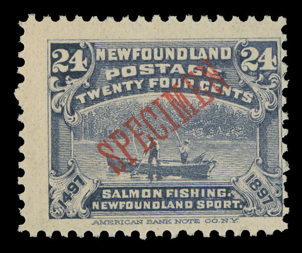 Newfoundland 61-74