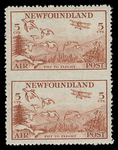 Newfoundland C13c