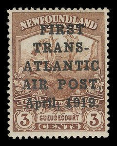 Newfoundland C1