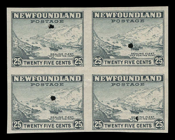 Newfoundland 253i-266ii